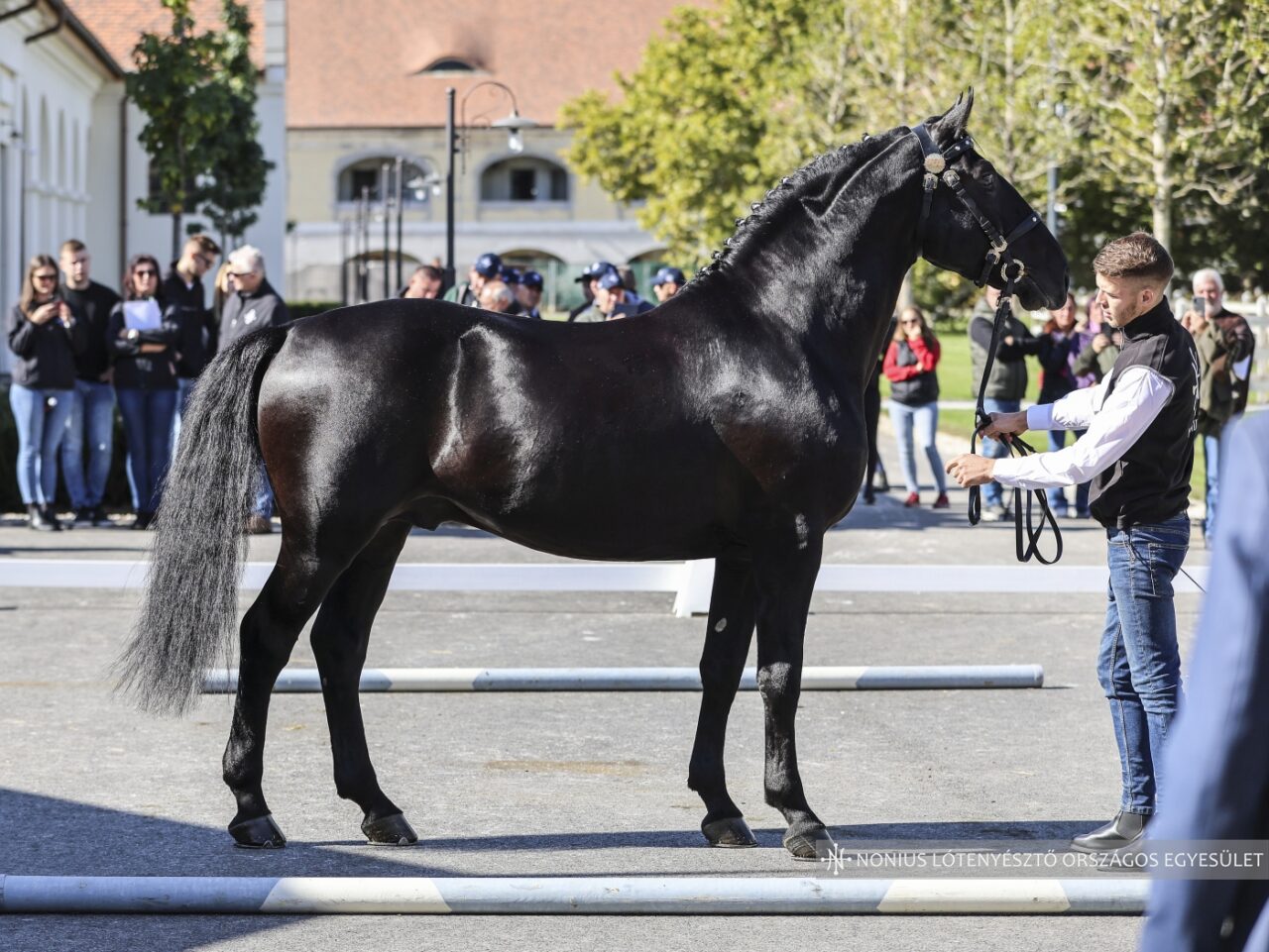 7478 Nonius IV-150 Egon