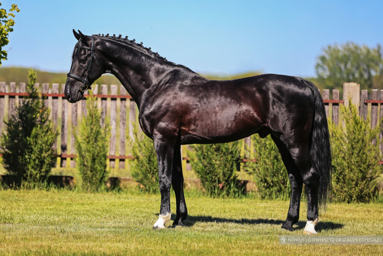 6491 Lourens